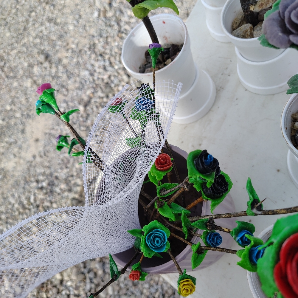 Homemade Forever Roses - Picture 5 of 5